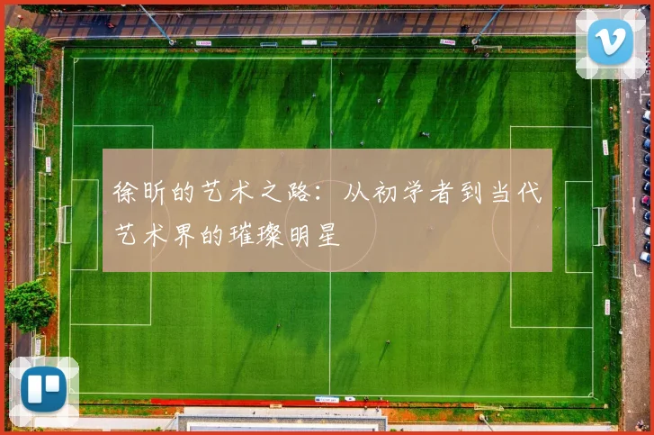 徐昕的艺术之路：从初学者到当代艺术界的璀璨明星